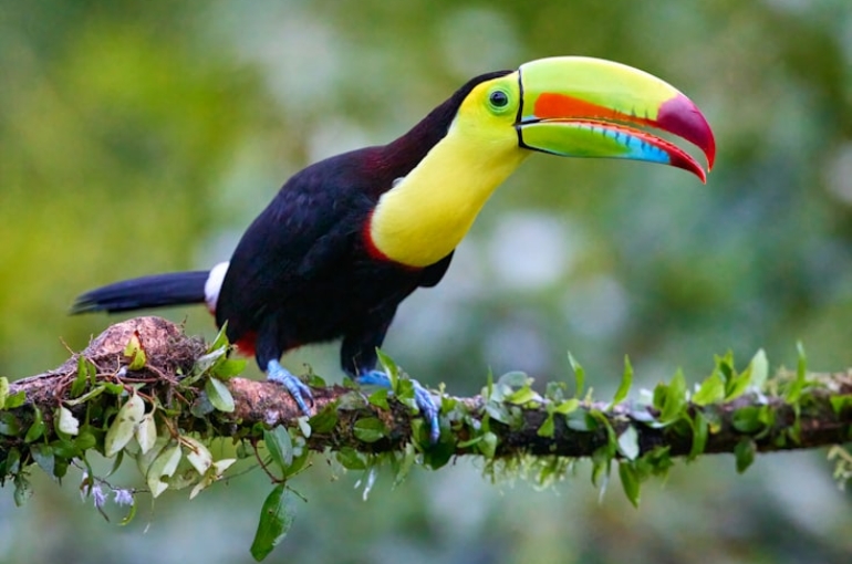 premium_photo-1686507726562-d03b9f8bf05b