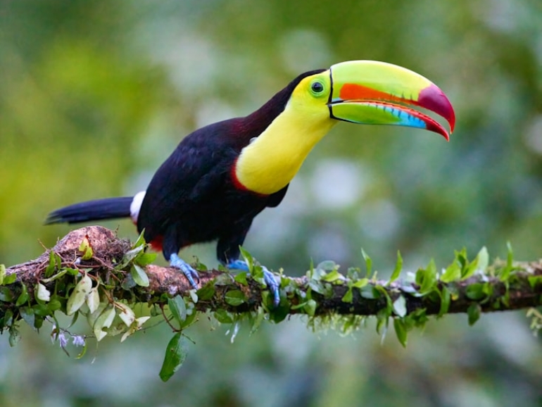 premium_photo-1686507726562-d03b9f8bf05b