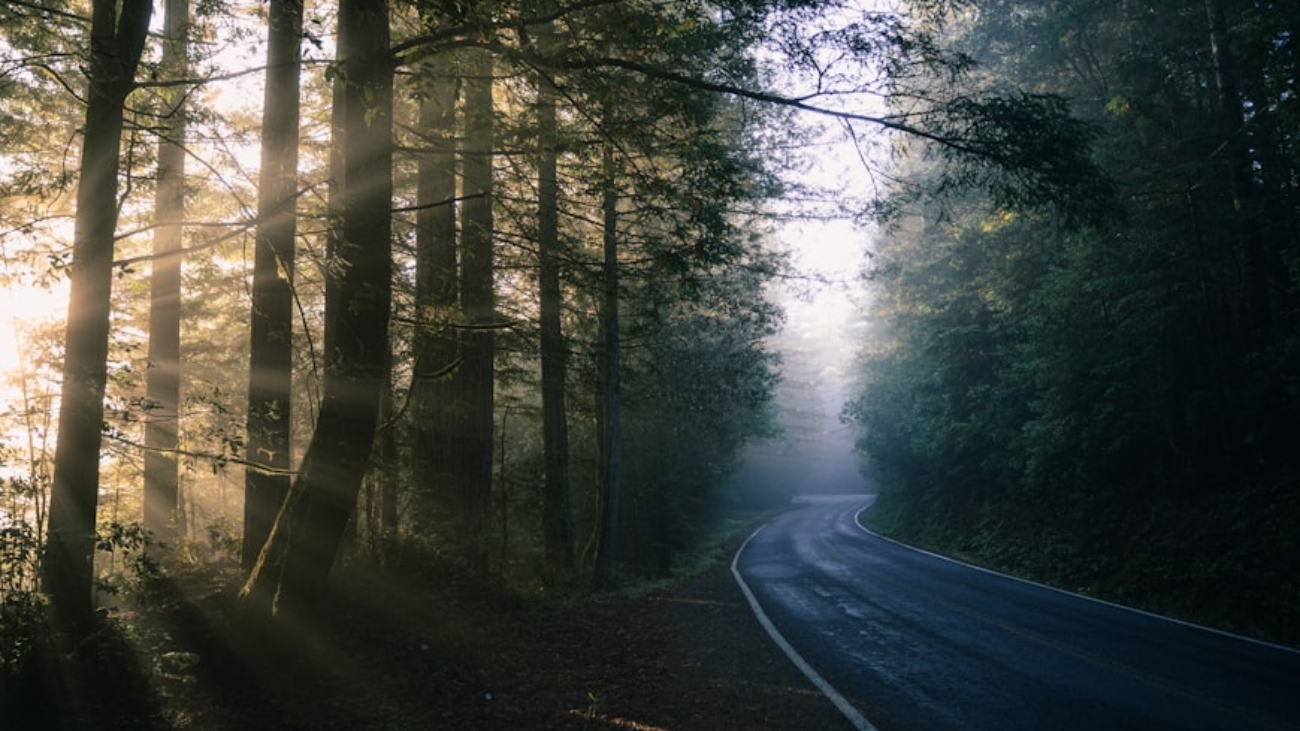 premium_photo-1688429242589-7a0b8e7349a4