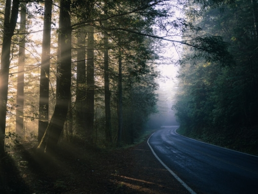 premium_photo-1688429242589-7a0b8e7349a4