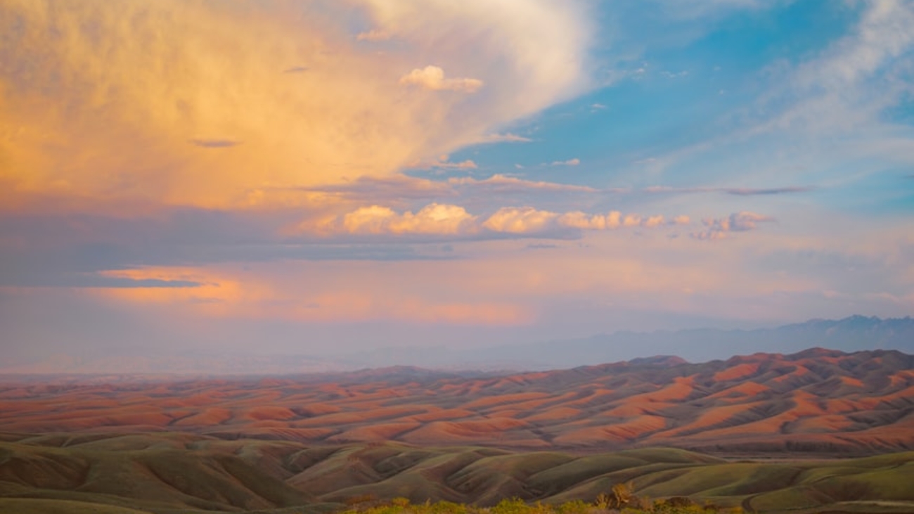 premium_photo-1693060074991-e5cc84dad92d