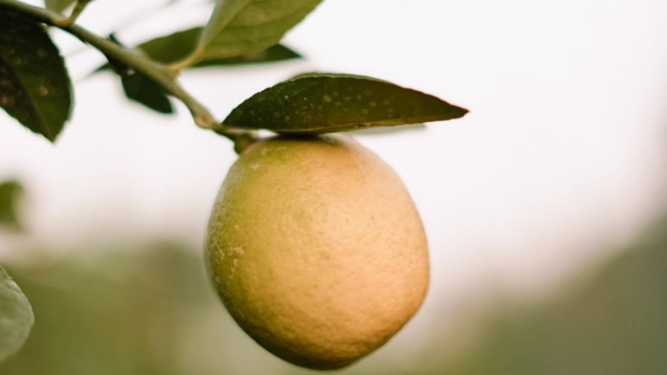 premium_photo-1694108662584-b7fdff65a879