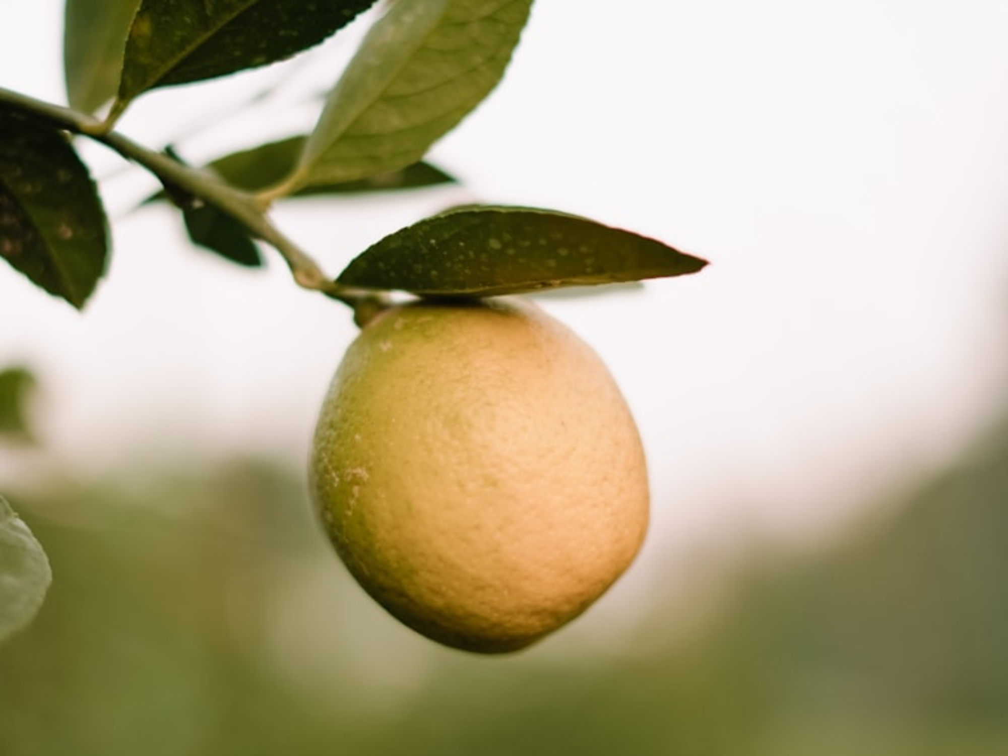 premium_photo-1694108662584-b7fdff65a879