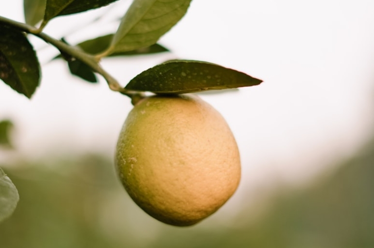 premium_photo-1694108662584-b7fdff65a879