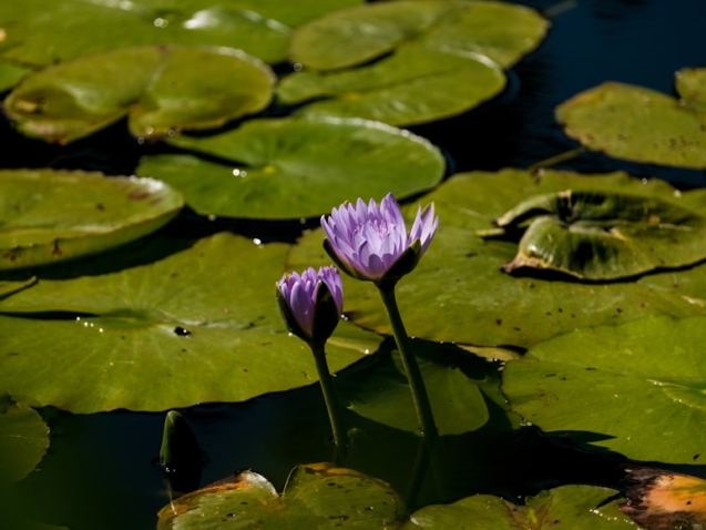 premium_photo-1695188543272-10ed22c80a70