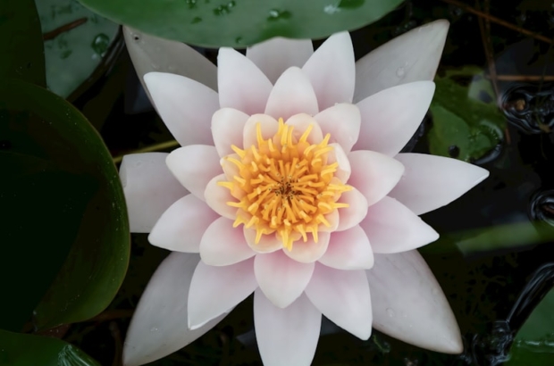 premium_photo-1695478576977-8616f1e4ac50