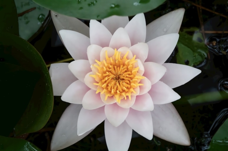 premium_photo-1695478576977-8616f1e4ac50