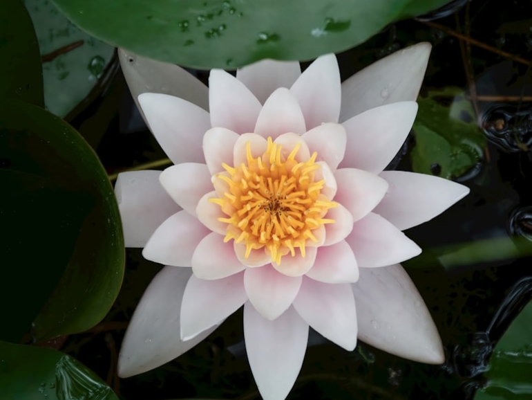 premium_photo-1695478576977-8616f1e4ac50