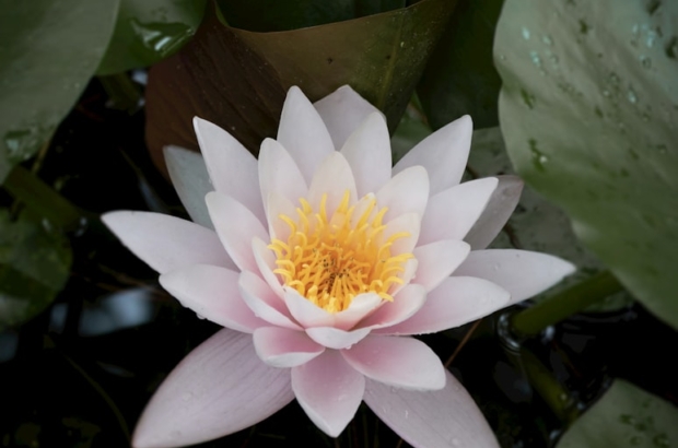 premium_photo-1695750536632-7e3055fc48d5