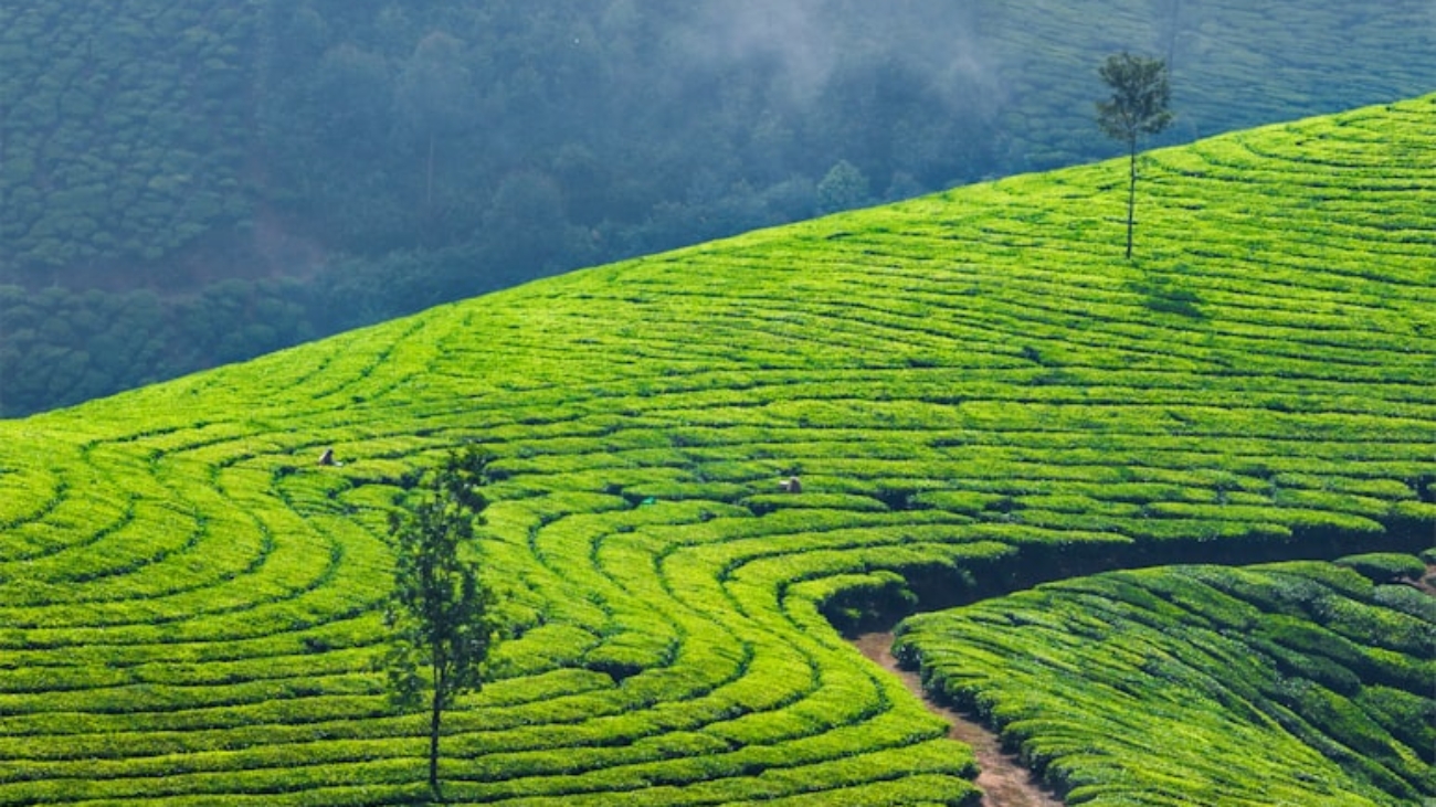 premium_photo-1697730334419-fba83fe143b7