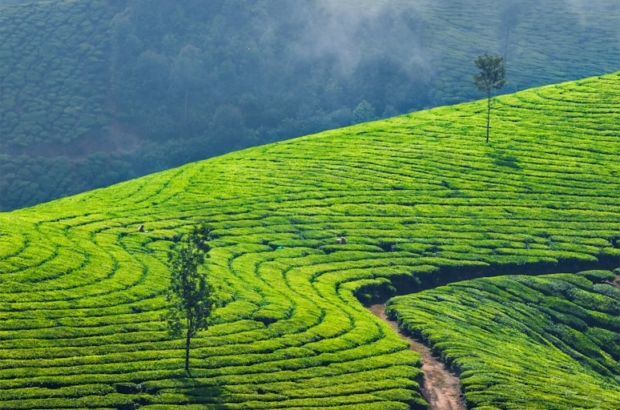 premium_photo-1697730334419-fba83fe143b7