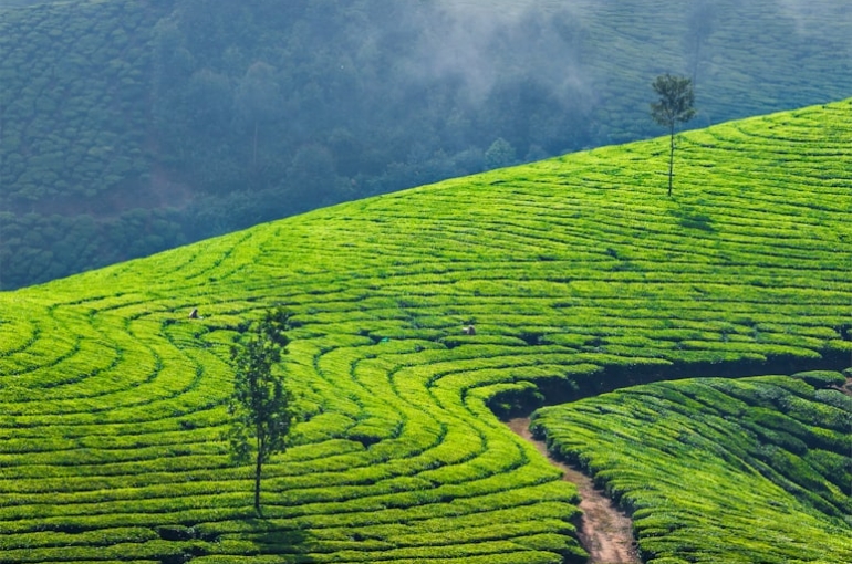 premium_photo-1697730334419-fba83fe143b7