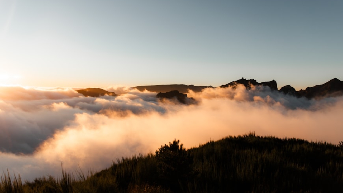 premium_photo-1706436726324-6f9fb0abe9aa