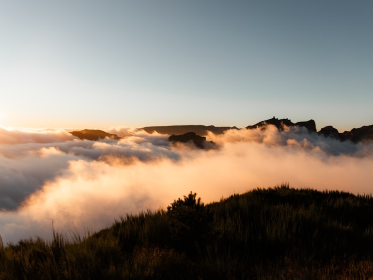 premium_photo-1706436726324-6f9fb0abe9aa