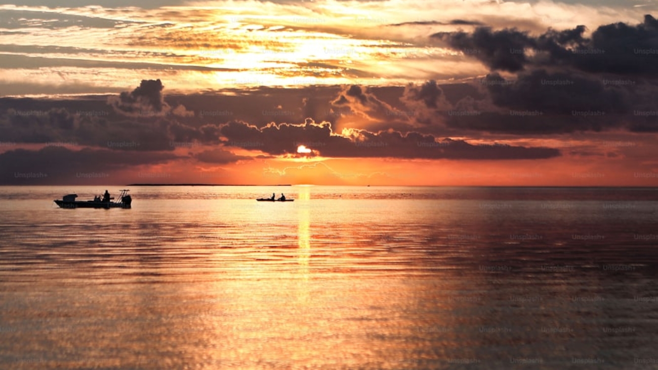 premium_photo-1709316143321-b2f963c5a5a0