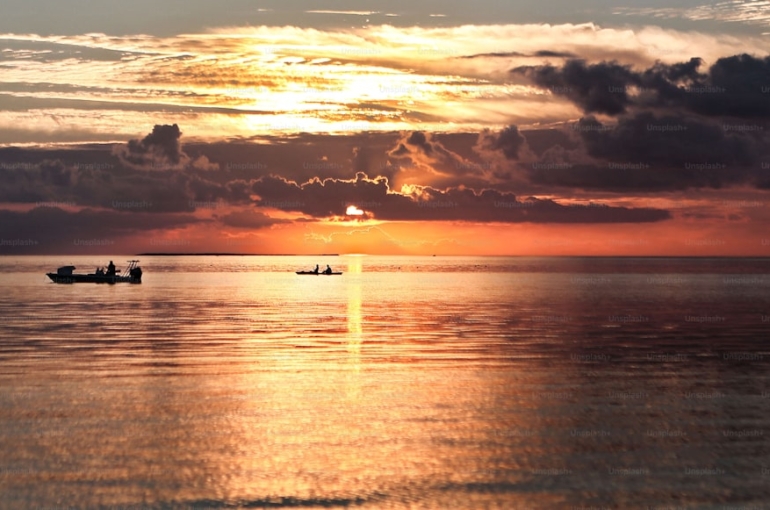 premium_photo-1709316143321-b2f963c5a5a0