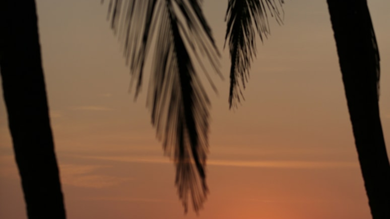 premium_photo-1712604750756-48015b34e2df