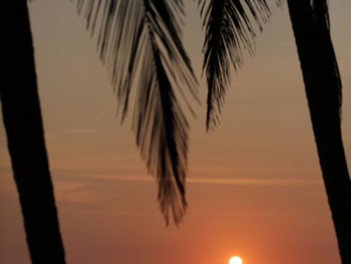 premium_photo-1712604750756-48015b34e2df