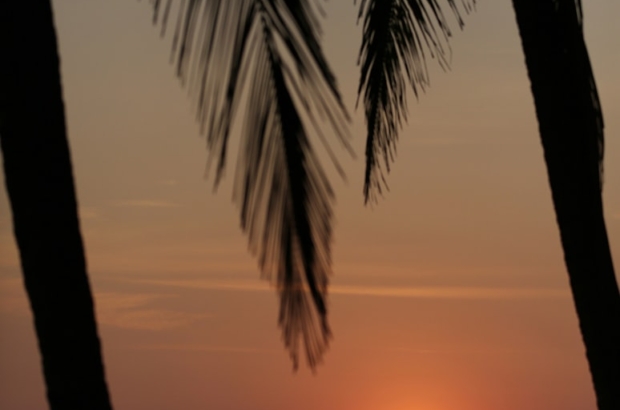 premium_photo-1712604750756-48015b34e2df