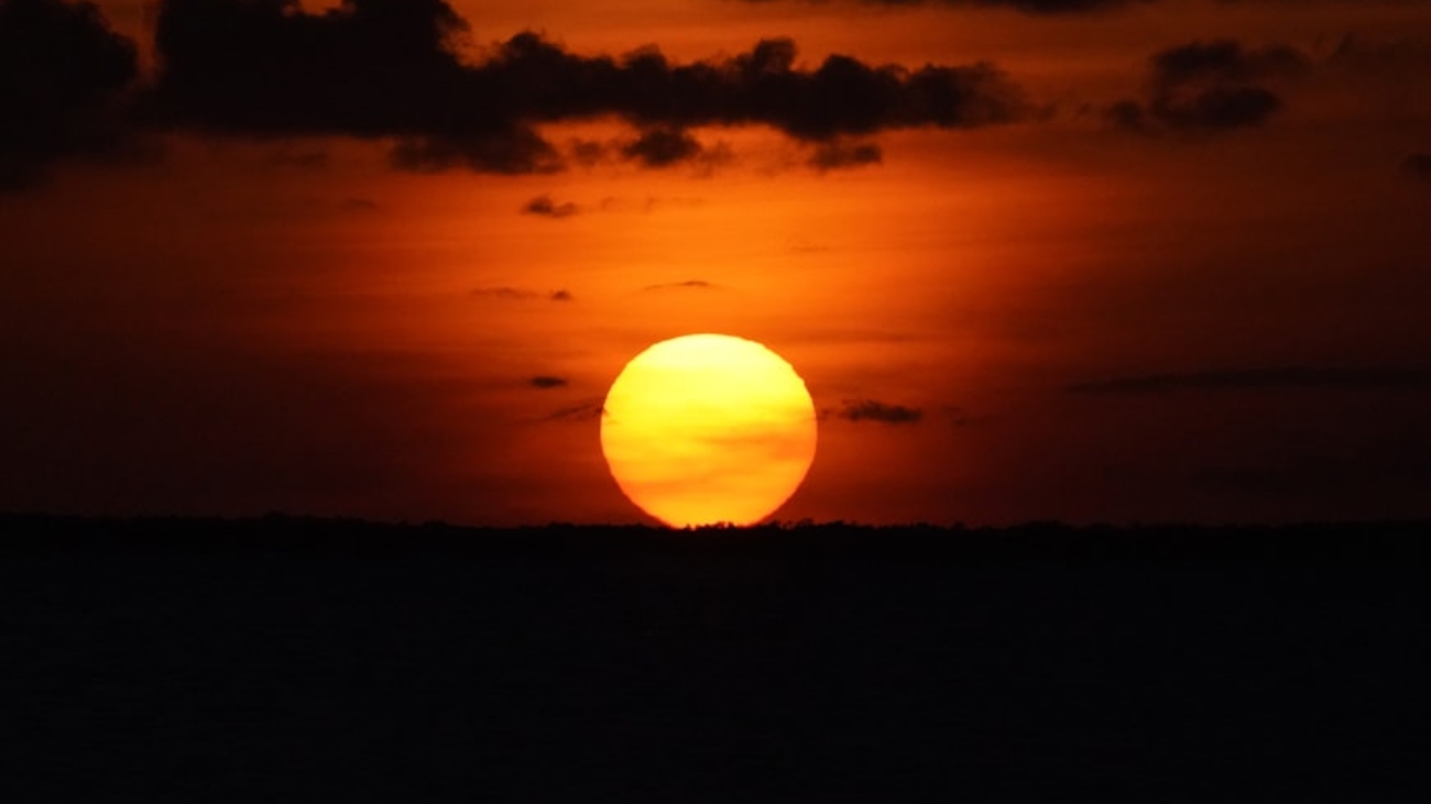 premium_photo-1715018699197-3fb50a85707e