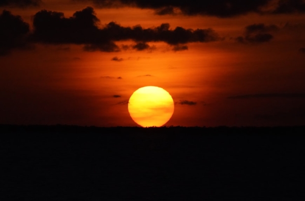 premium_photo-1715018699197-3fb50a85707e