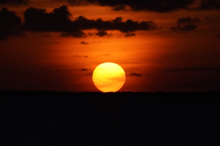 premium_photo-1715018699197-3fb50a85707e