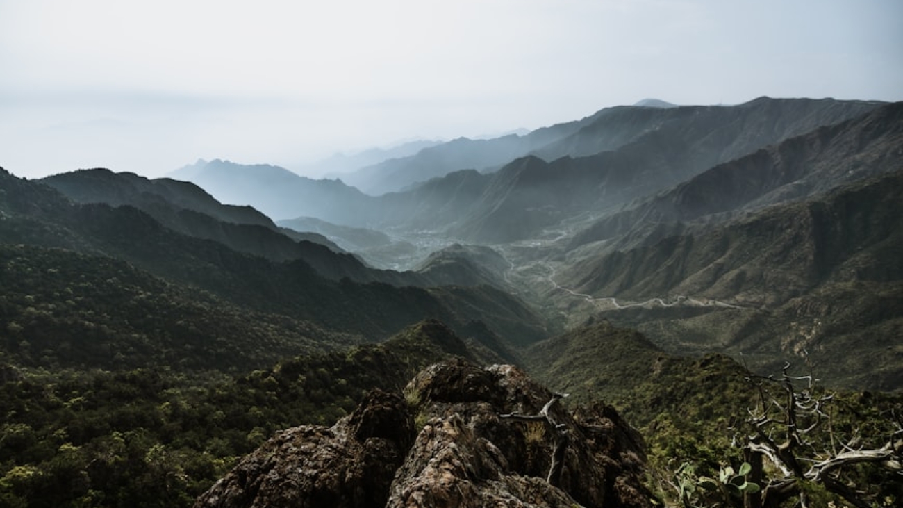 premium_photo-1720520081924-d7822ed57e10