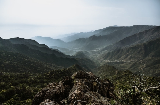 premium_photo-1720520081924-d7822ed57e10