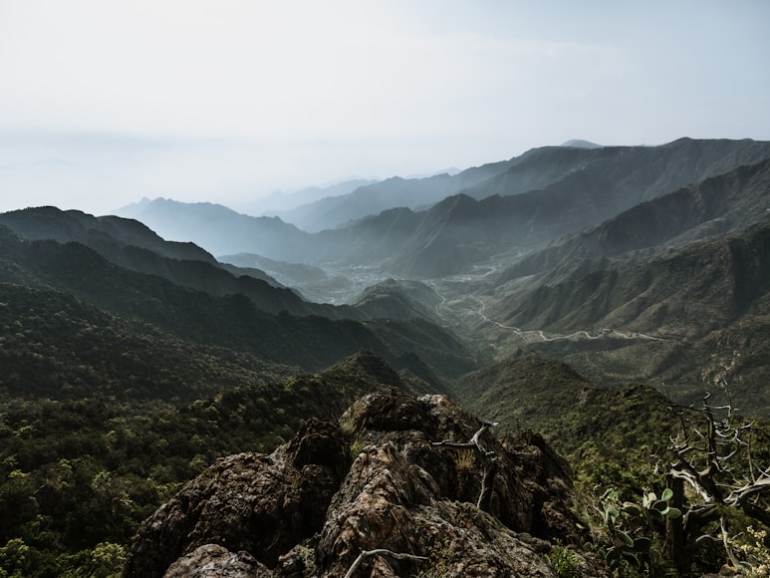 premium_photo-1720520081924-d7822ed57e10