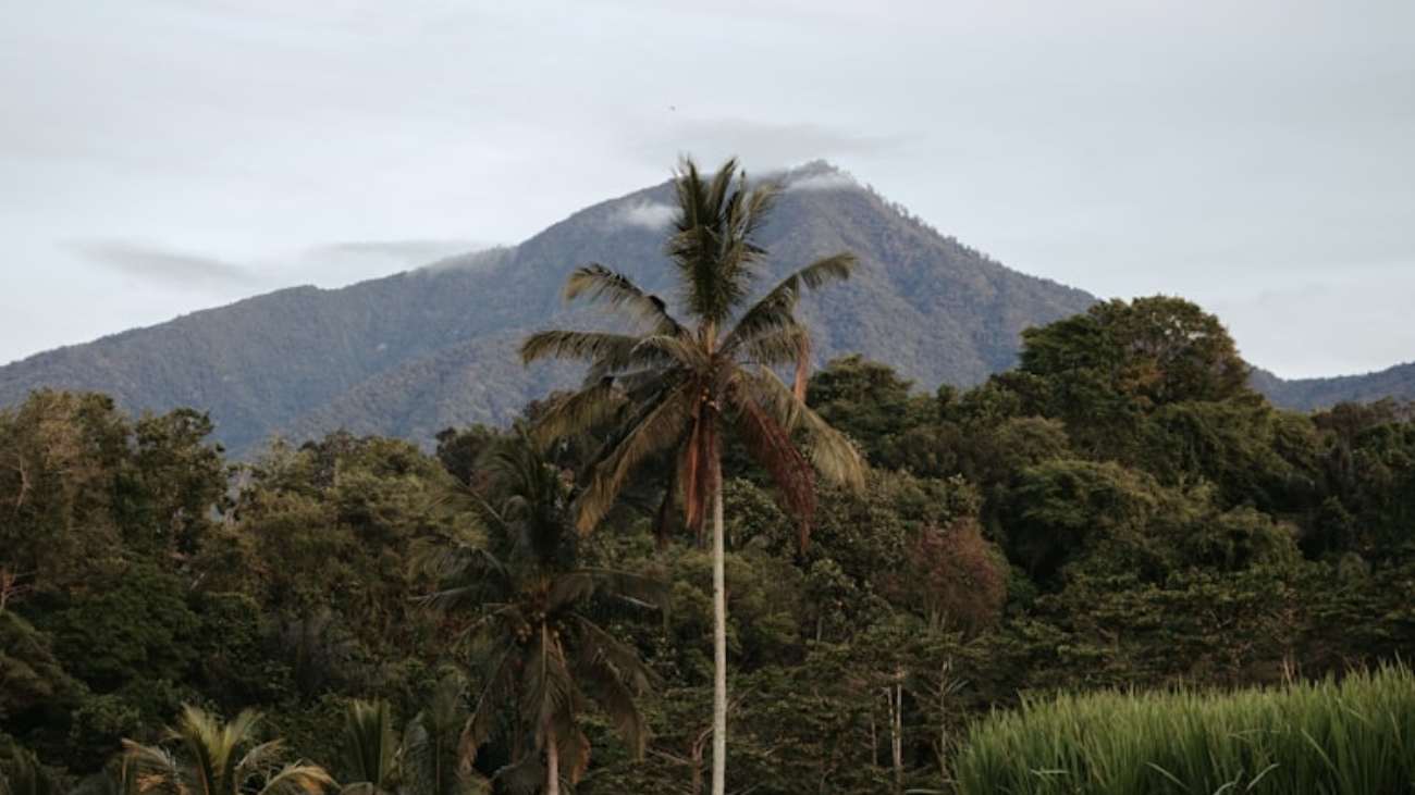 premium_photo-1721311166639-aec4970a339f