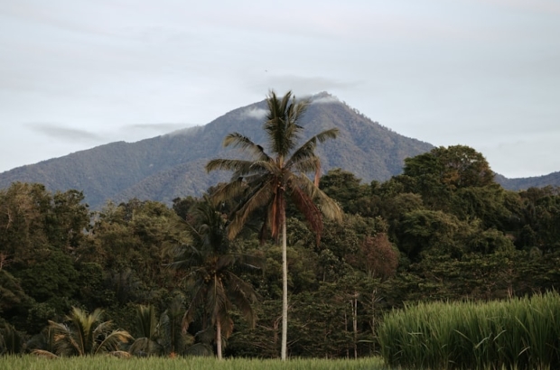 premium_photo-1721311166639-aec4970a339f