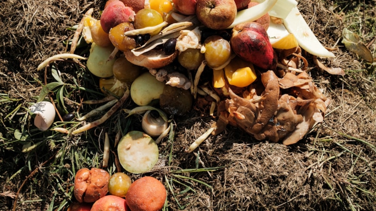 premium_photo-1723300630006-388c858dc61a