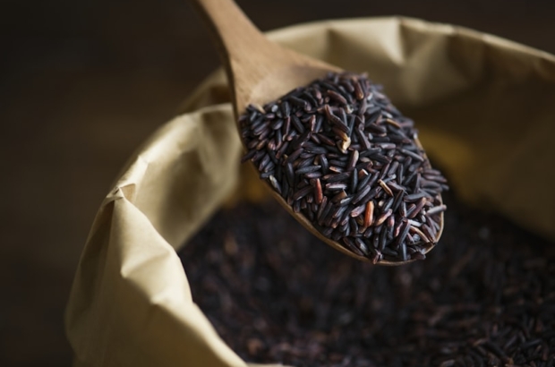 premium_photo-1723478524086-f33d0829843f