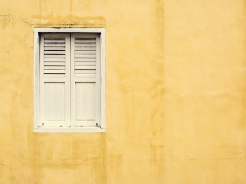 premium_photo-1723579230068-153afee7af07