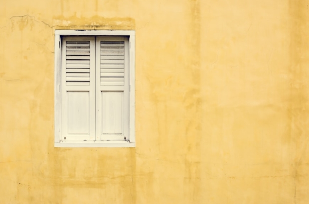 premium_photo-1723579230068-153afee7af07