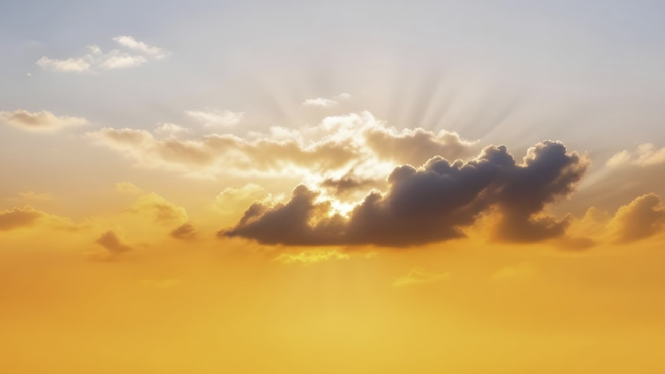 premium_photo-1726192458262-daa5c3cd47d5