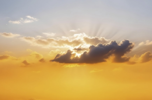 premium_photo-1726192458262-daa5c3cd47d5