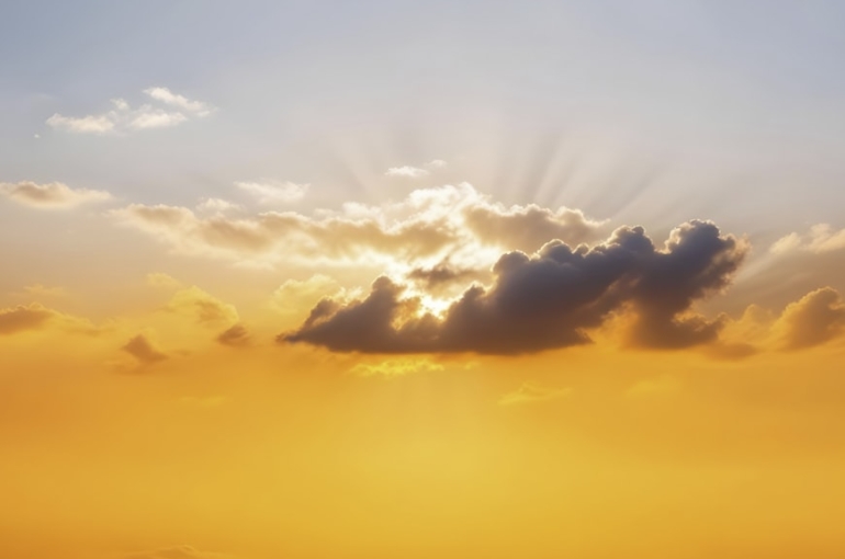 premium_photo-1726192458262-daa5c3cd47d5