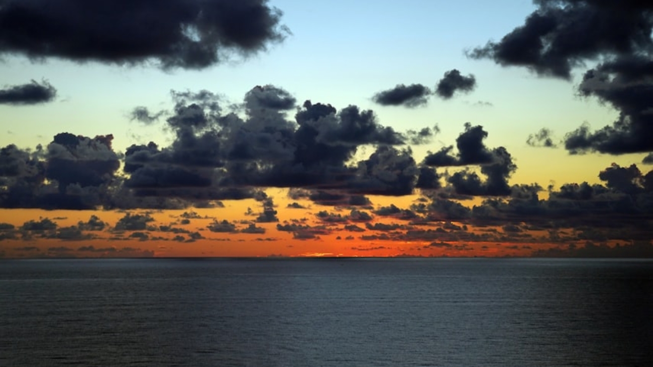 premium_photo-1727122972059-21d1a8709387