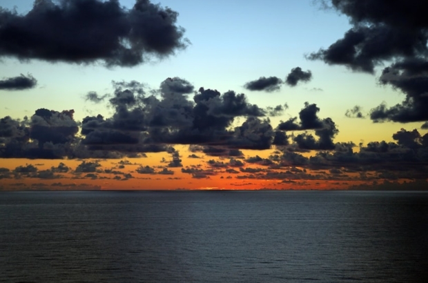 premium_photo-1727122972059-21d1a8709387