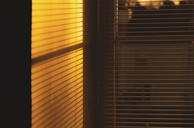 premium_photo-1736856669851-41a77add5e3c