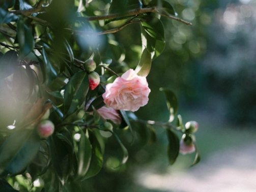 premium_photo-1742558711166-bbd4acdb8318