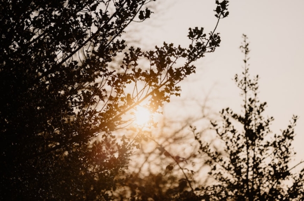 premium_photo-1743089486695-ff4da940d5f4