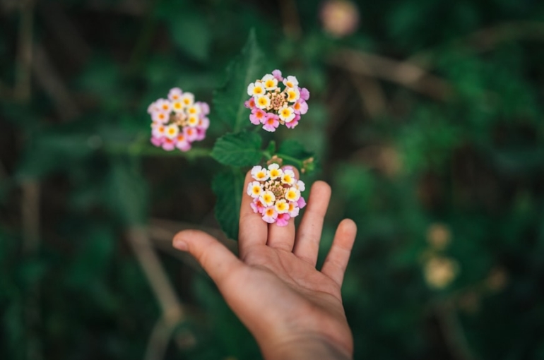 premium_photo-1744175659540-bf45b65f3e27