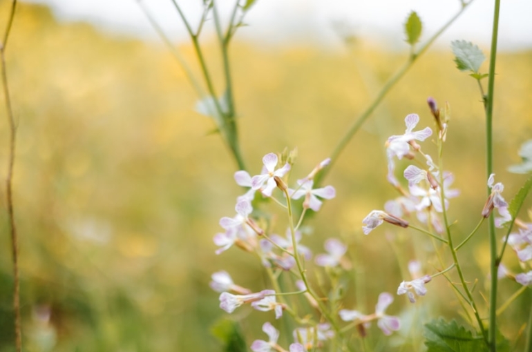 premium_photo-1745157157946-31e62972092e