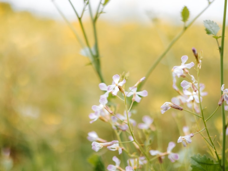 premium_photo-1745157157946-31e62972092e