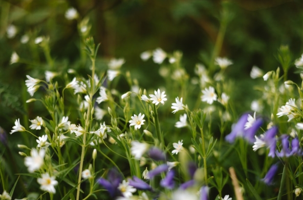 premium_photo-1745157158904-2e6ef518e0be