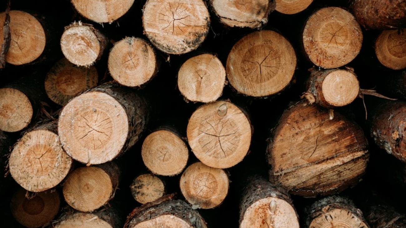 premium_photo-1745257765912-38b8165991c1