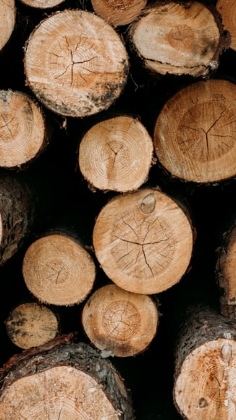 premium_photo-1745257765912-38b8165991c1