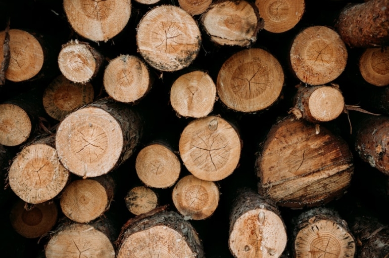 premium_photo-1745257765912-38b8165991c1